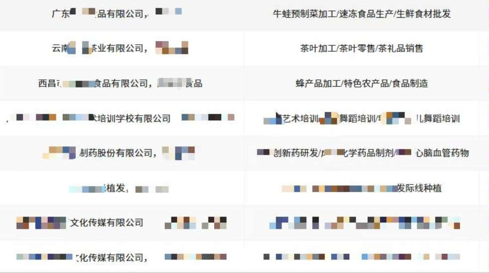 行业示例，企业名称已遮挡